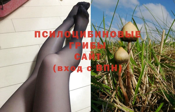 молекула духа Балабаново