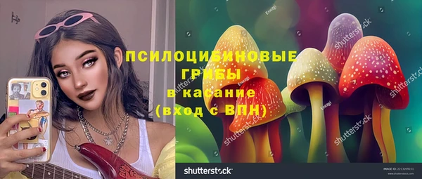 молекула духа Балабаново